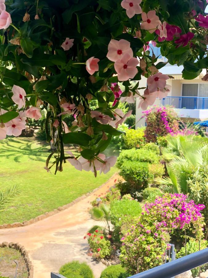 Holiday Apartment Walking Distance To The Sea Paphos Exteriér fotografie
